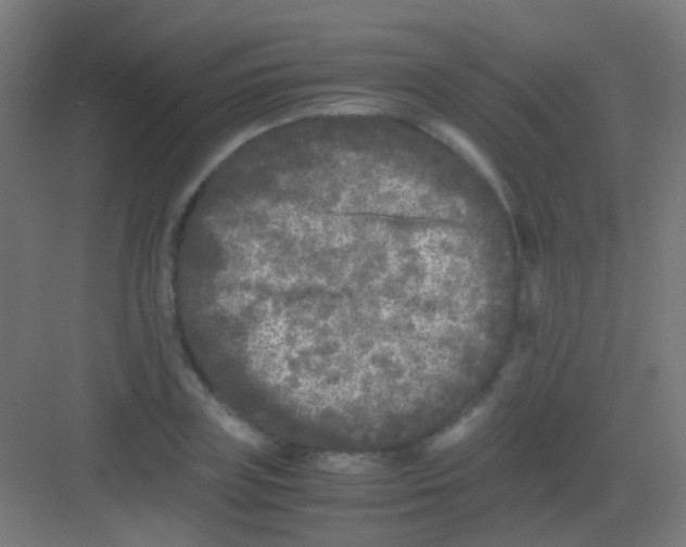 X0000081390835200702090036