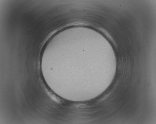 X0000081390837200702090036