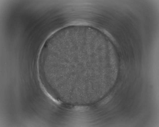 X0000081390840200702090036