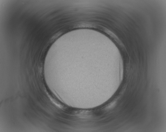 X0000081390841200702090036