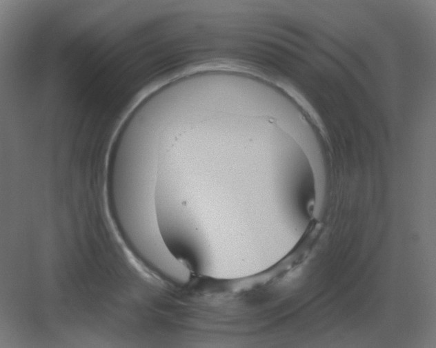 X0000081390845200702090036