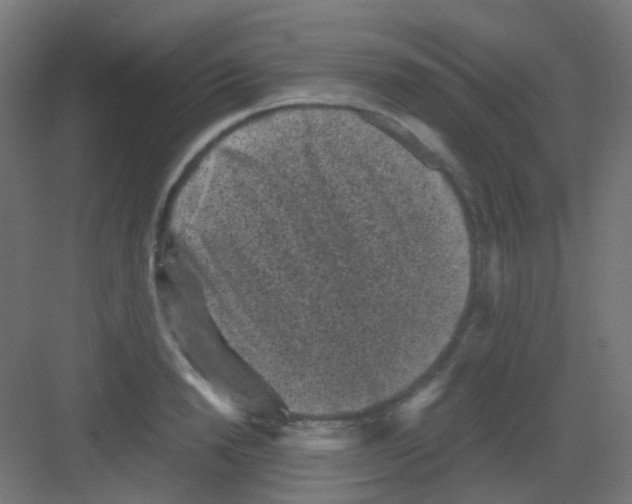 X0000081390846200702090036