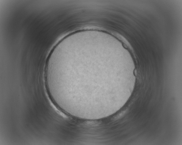 X0000081390847200702090036