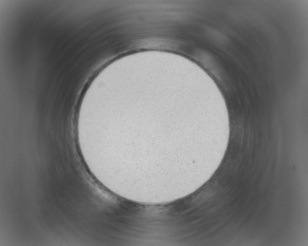 X0000081390848200702090036