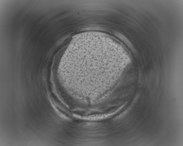 X0000081390849200702090036