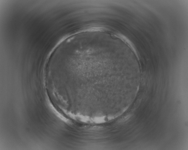 X0000081390851200702090036