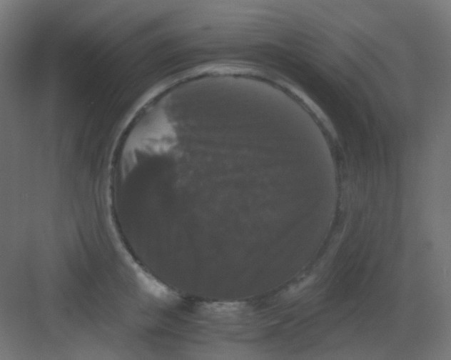 X0000081390853200702090036