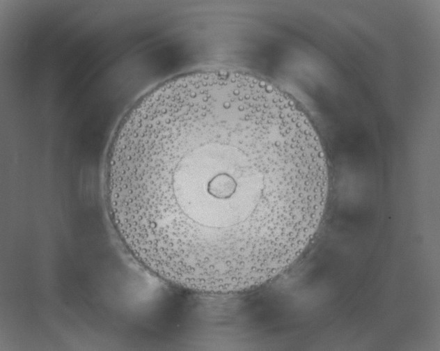 X0000081390856200702090036