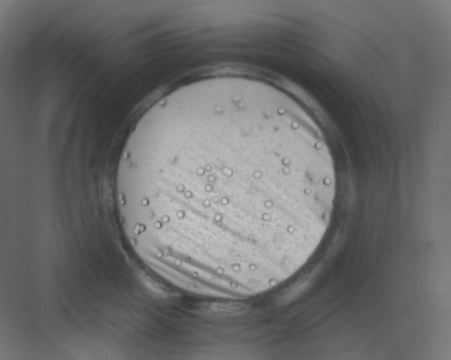 X0000081390857200702090036