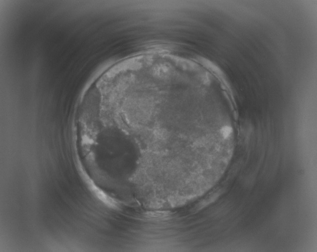 X0000081390859200702090036