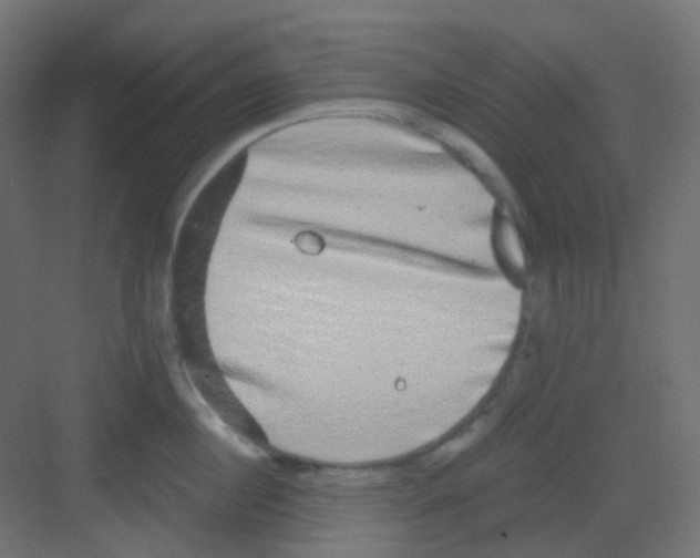 X0000081390860200702090036