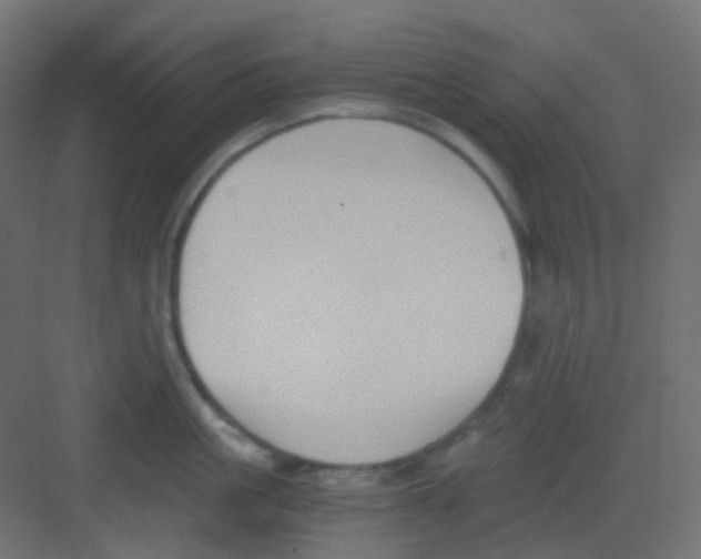 X0000081390861200702090036