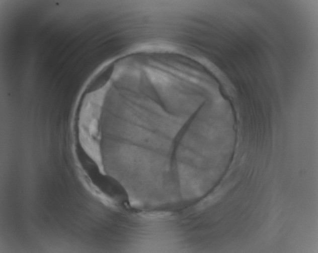 X0000081390864200702090036