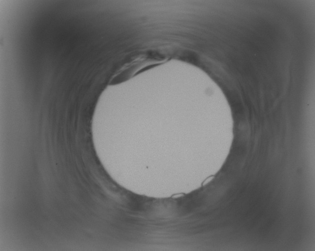 X0000081390865200702090035