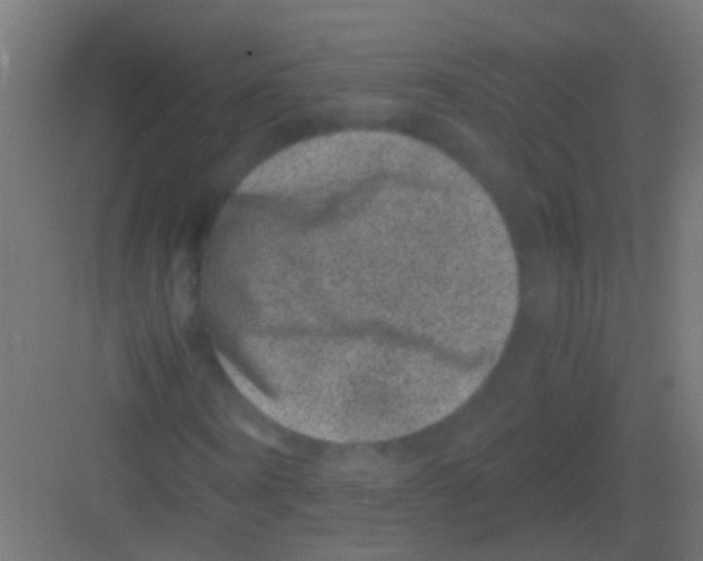 X0000081390866200702090035