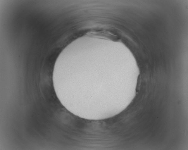 X0000081390869200702090035