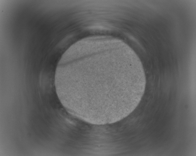 X0000081390870200702090035