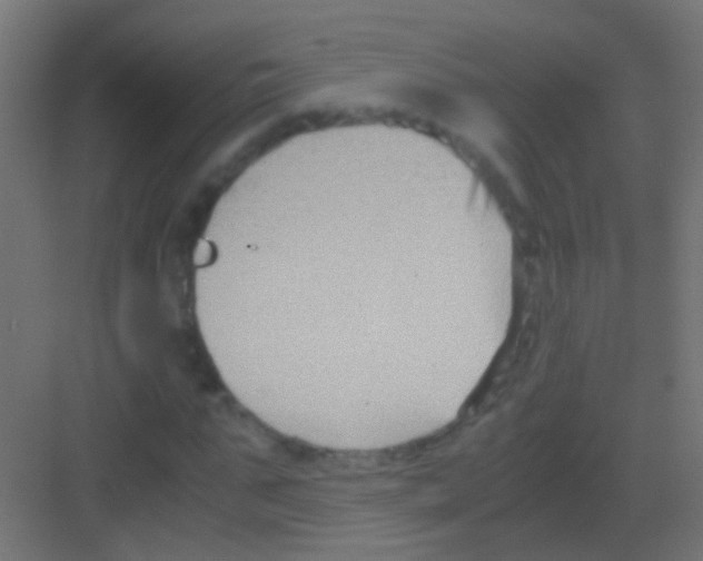 X0000081390871200702090035