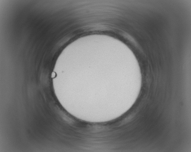 X0000081390873200702090035