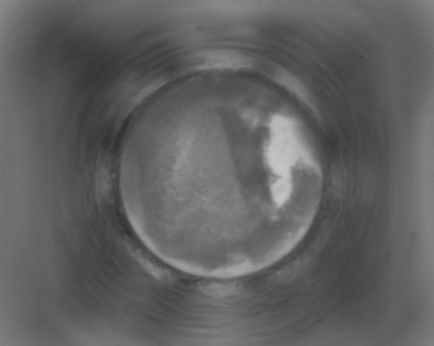 X0000081390874200702090035