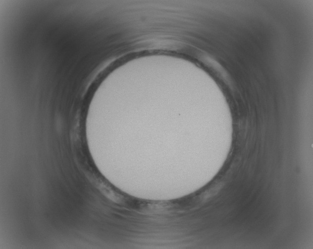 X0000081390875200702090035