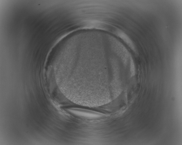 X0000081390876200702090035