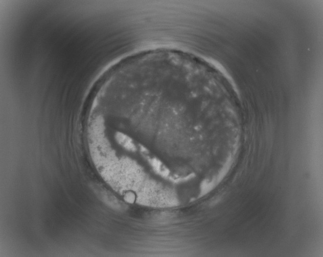 X0000081390879200702090035