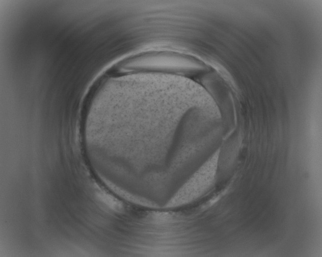 X0000081390880200702090035