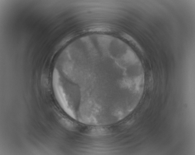 X0000081390882200702090035