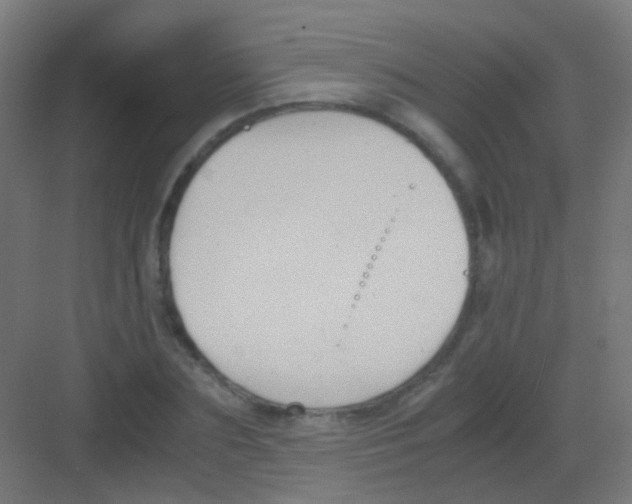 X0000081390883200702090035