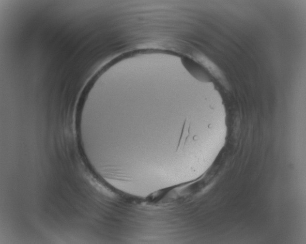 X0000081390884200702090035