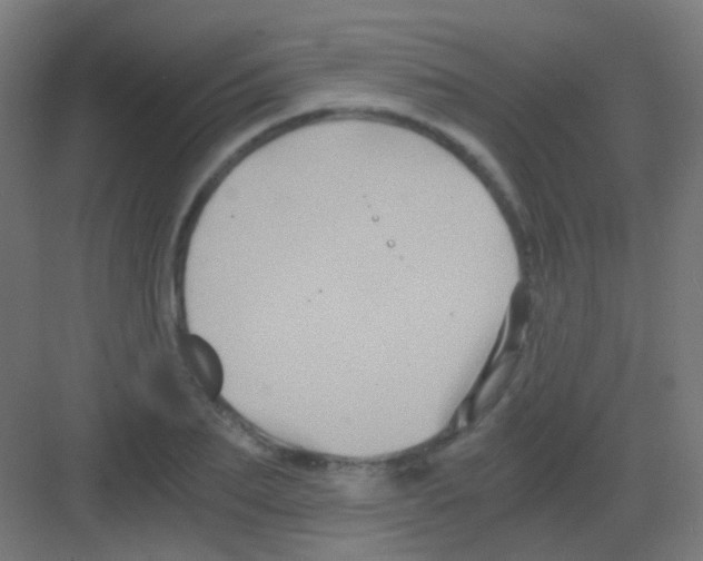 X0000081390887200702090035