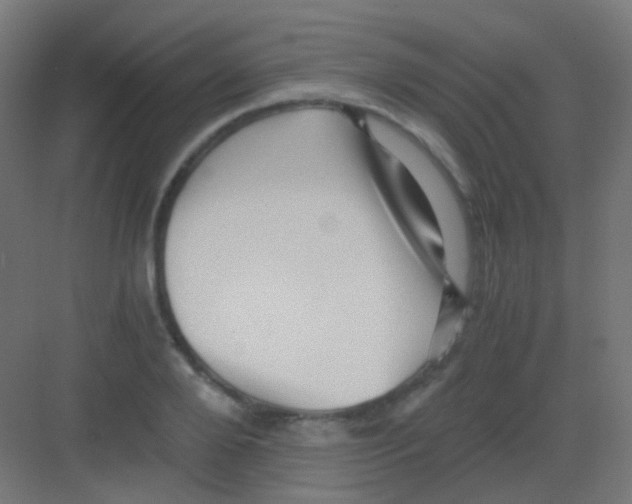 X0000081390888200702090035