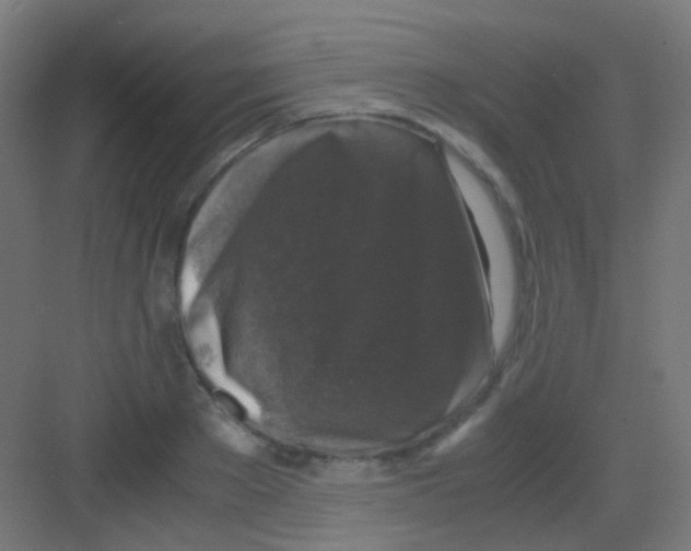 X0000081390889200702090035