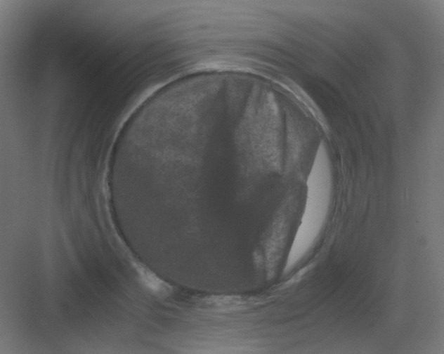 X0000081390893200702090035