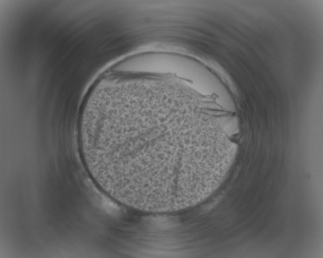 X0000081390896200702090035