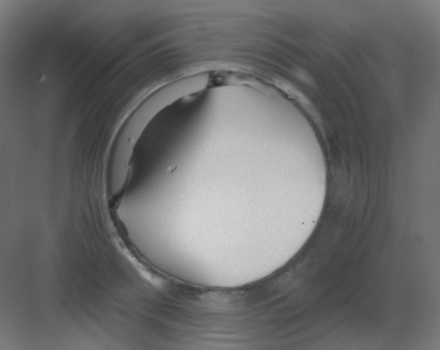 X0000081390898200702090035