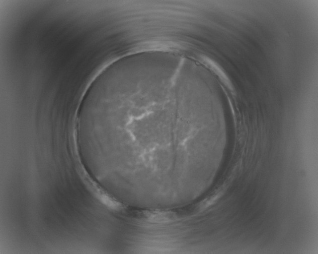 X0000081390899200702090035