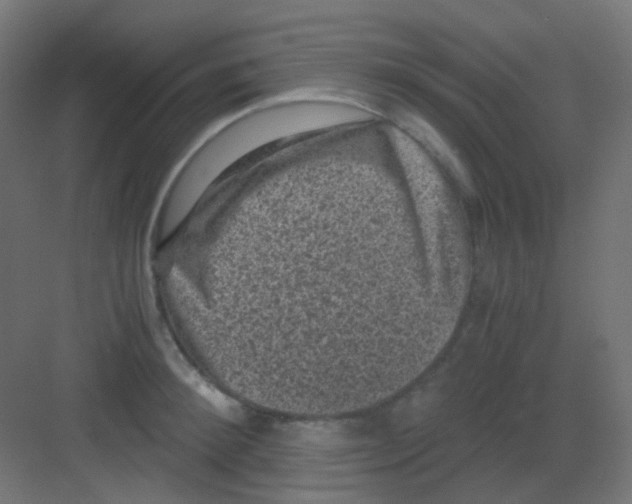 X0000081390900200702090035