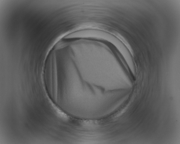 X0000081390901200702090035