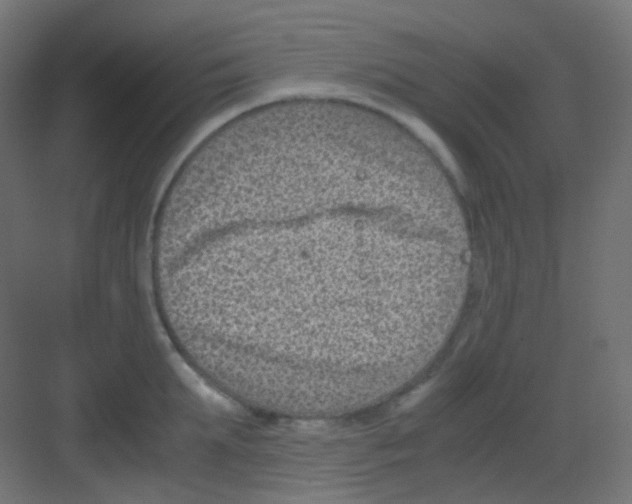 X0000081390903200702090035