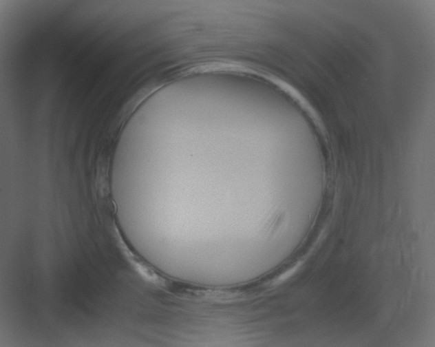 X0000081390905200702090035