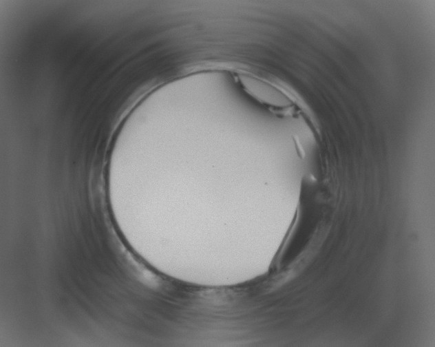 X0000081390906200702090035