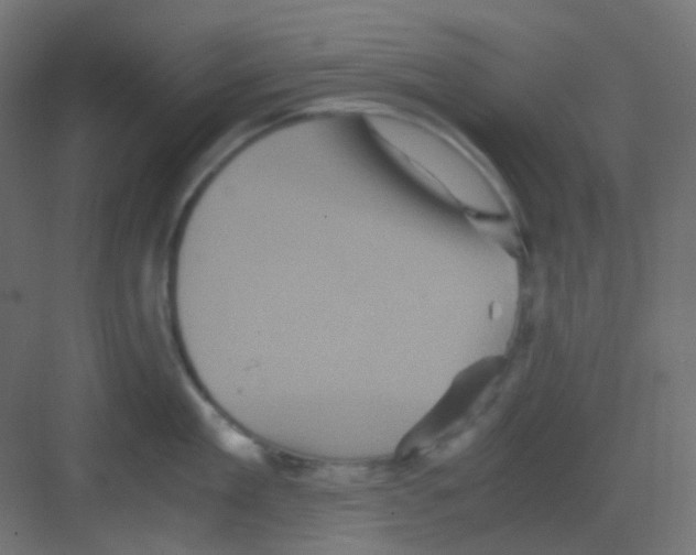 X0000081390909200702090034