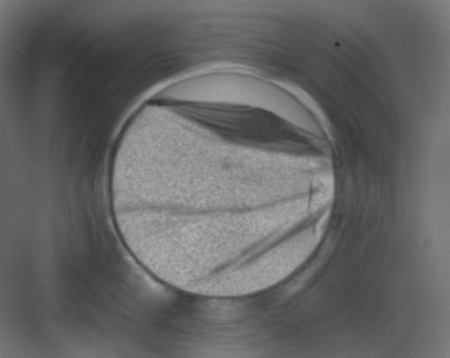 X0000081390910200702090034