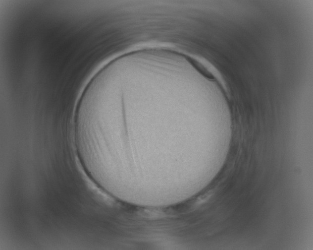 X0000081390911200702090034