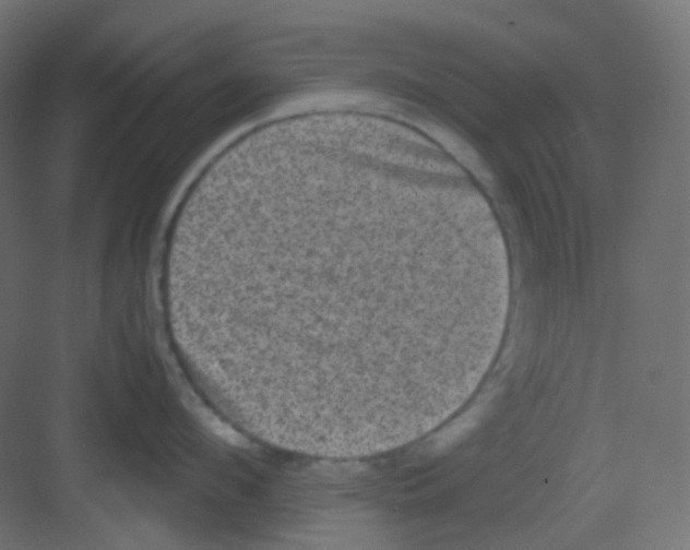 X0000081390912200702090034