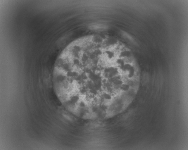 X0000081390917200702090034