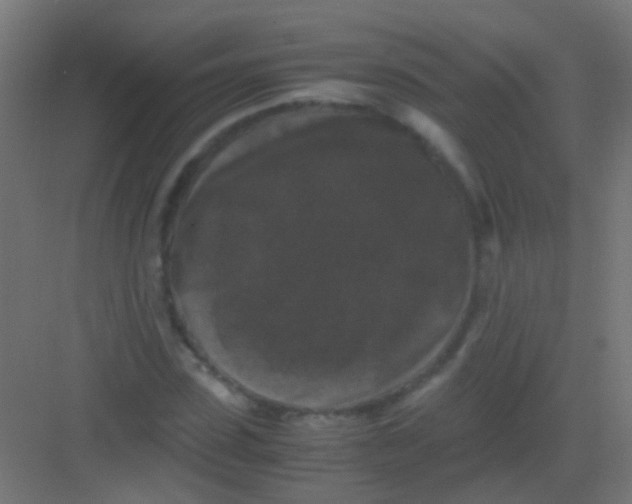 X0000081390923200702090034