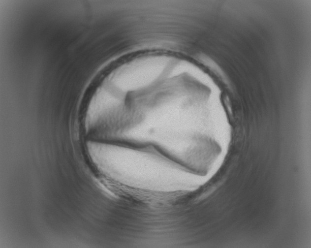 X0000081390924200702090034